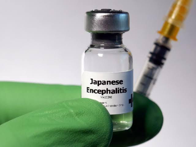 ‘Japanese fever’ vaccine will be administered in Indore district from 27 February 2024