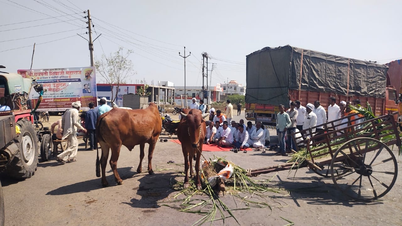 Parbhani Video and pictures during the movement Chakka Jam movement in Parbhani district, supporters of Maratha community took to the streets with bullock carts