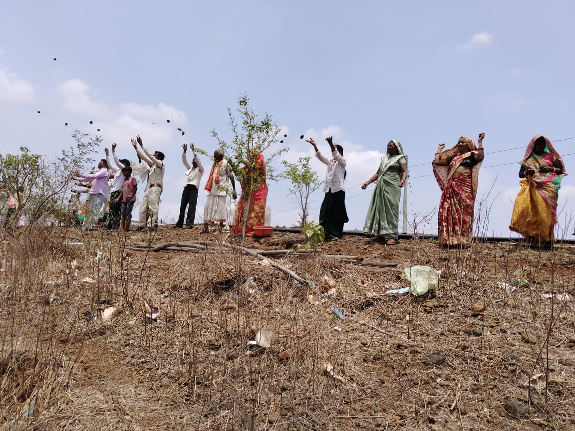 Tehsildar along with his team planted and scattered seed balls on Kokinda hill