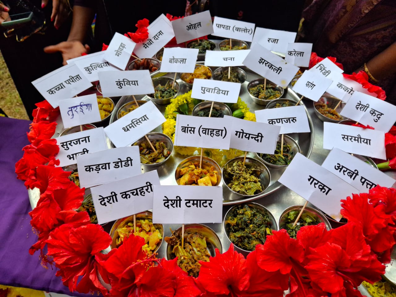People from across the country participated in Jhabua Darshan Yatra - photo 1