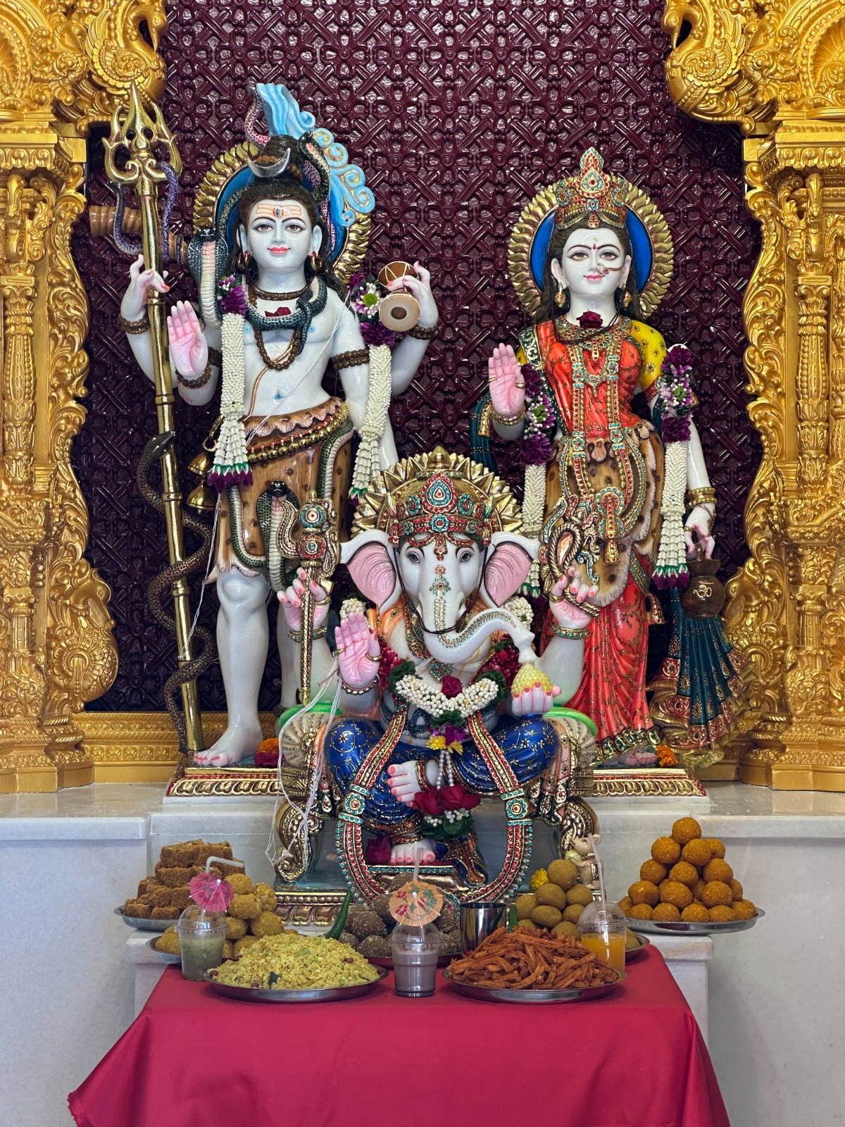 A golden day in Jodhpur's cultural history - idol consecration ceremony completed at BAPS Temple - photo 6