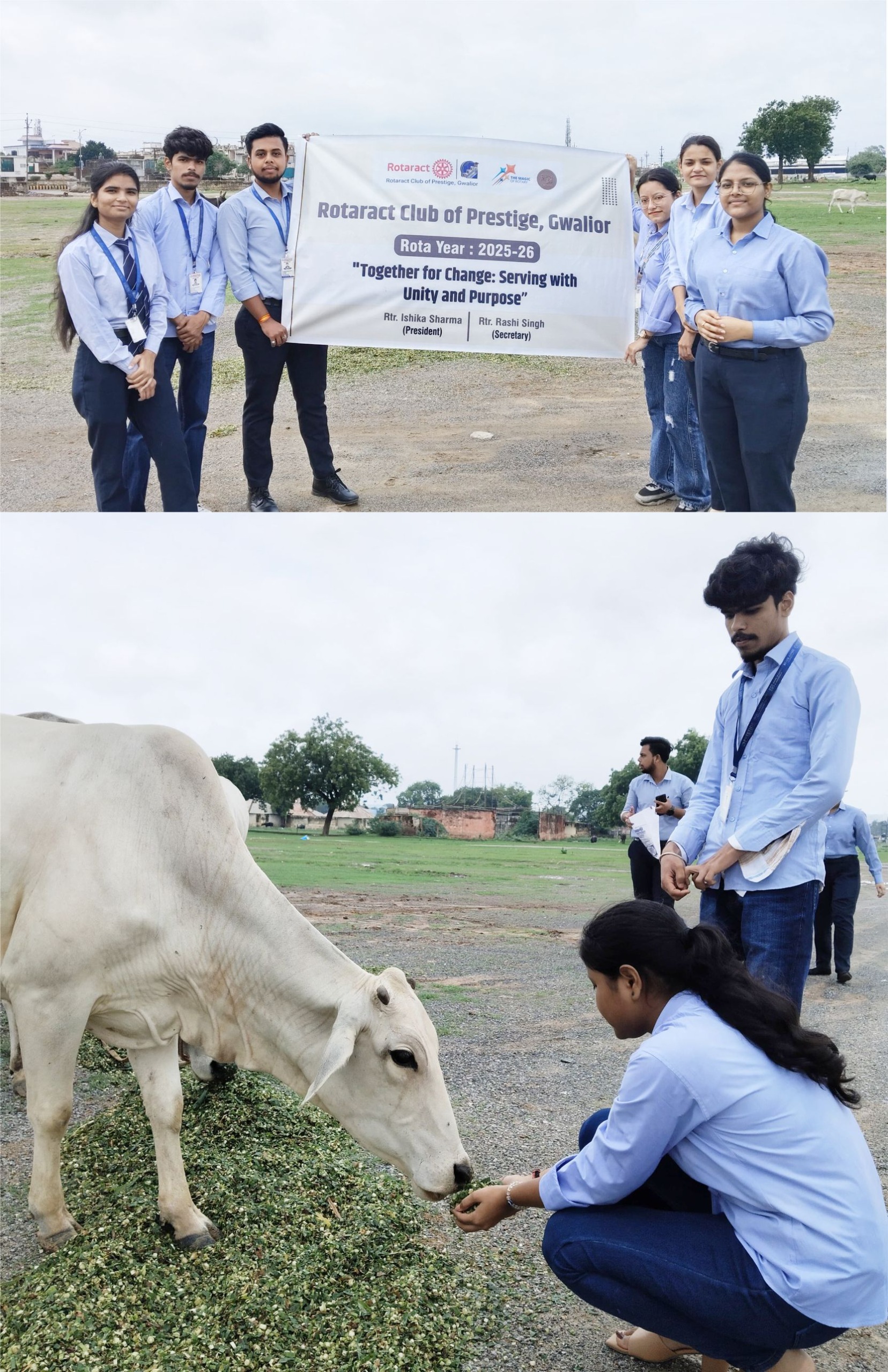 Rotaract Club of Prestige spread the message of animal service through Gau Seva Program